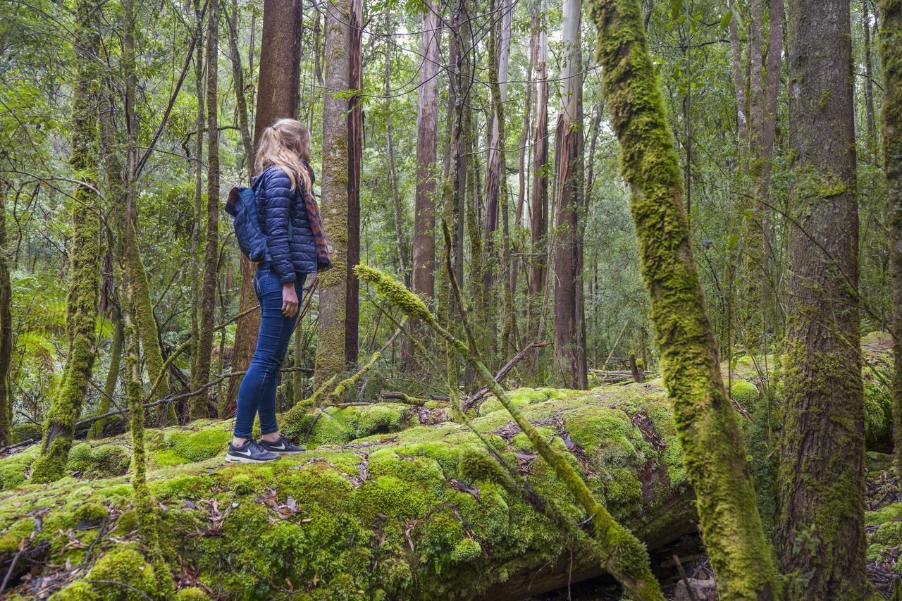 Yha Hobart Central Екстериор снимка